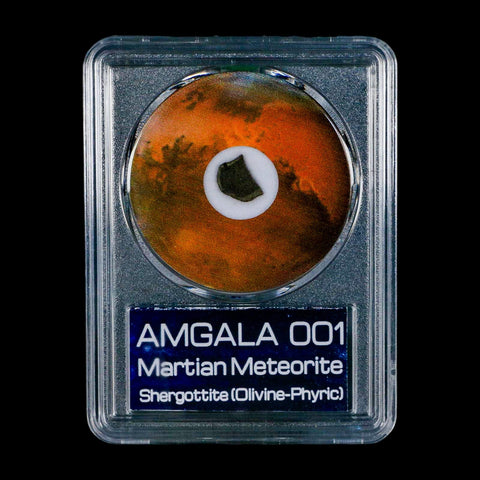 Mars Rock Martian Meteorite Amgala 001 Shergottite Olivine-Phyric COA And Display - Fossil Age Minerals