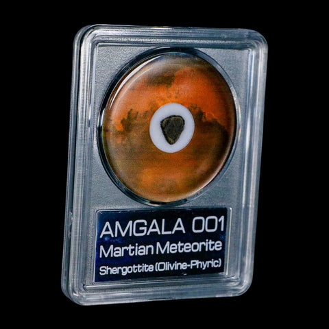 Mars Rock Martian Meteorite Amgala 001 Shergottite Olivine-Phyric COA And Display - Fossil Age Minerals