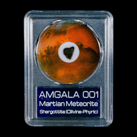 Mars Rock Martian Meteorite Amgala 001 Shergottite Olivine-Phyric COA And Display - Fossil Age Minerals