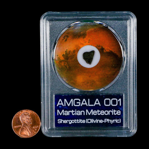 Mars Rock Martian Meteorite Amgala 001 Shergottite Olivine-Phyric COA And Display - Fossil Age Minerals