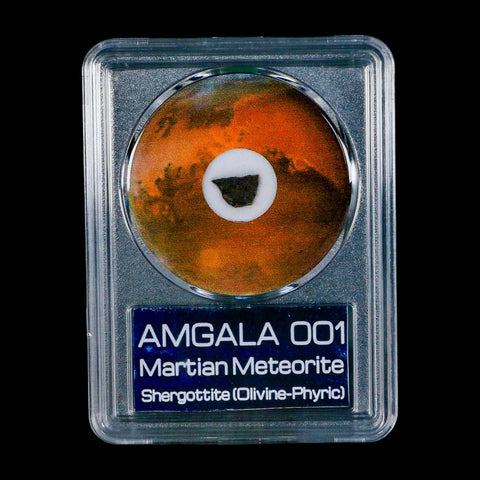 Mars Rock Martian Meteorite Amgala 001 Shergottite Olivine-Phyric COA And Display - Fossil Age Minerals