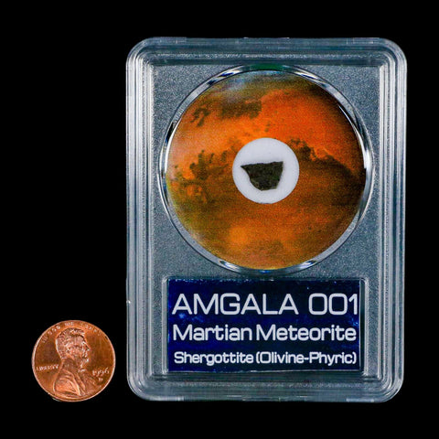 Mars Rock Martian Meteorite Amgala 001 Shergottite Olivine-Phyric COA And Display - Fossil Age Minerals