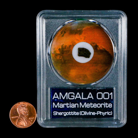 Mars Rock Martian Meteorite Amgala 001 Shergottite Olivine-Phyric COA And Display - Fossil Age Minerals