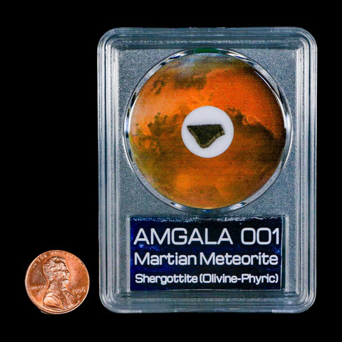 Mars Rock Martian Meteorite Amgala 001 Shergottite Olivine-Phyric COA And Display - Fossil Age Minerals