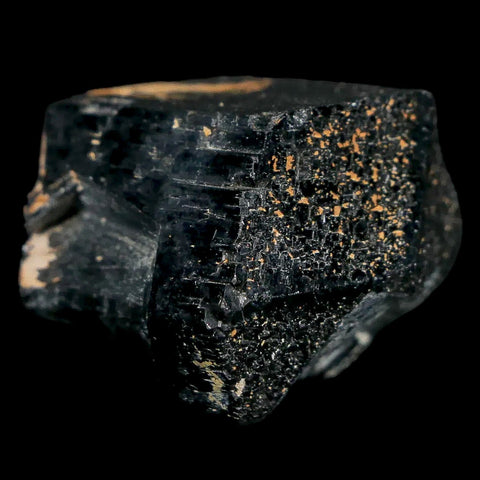 1.1" Natural Rough Schorl Black Tourmaline Mineral Erongo Mountains, Namibia - Fossil Age Minerals