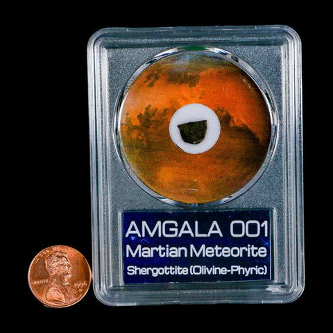 Mars Rock Martian Meteorite Amgala 001 Shergottite Olivine-Phyric COA And Display - Fossil Age Minerals