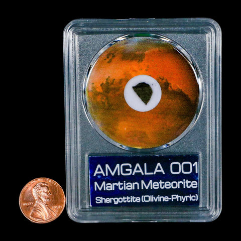 Mars Rock Martian Meteorite Amgala 001 Shergottite Olivine-Phyric COA And Display - Fossil Age Minerals