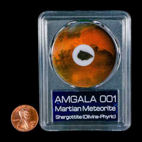 Mars Rock Martian Meteorite Amgala 001 Shergottite Olivine-Phyric COA And Display - Fossil Age Minerals