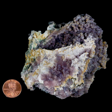 3.7" Purple Grape Agate Botryoidal Crystal Druzy Cluster Mineral Sulawesi Island