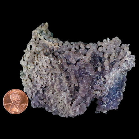 3.7" Purple Grape Agate Botryoidal Crystal Druzy Cluster Mineral Sulawesi Island