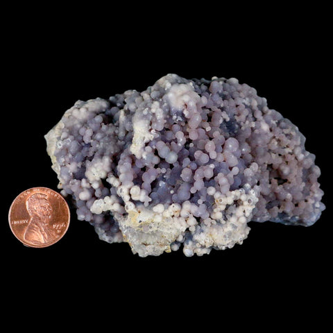 3.6" Purple Grape Agate Botryoidal Crystal Druzy Cluster Mineral Sulawesi Island