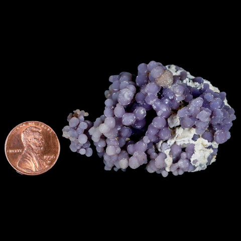 2.5" Purple Grape Agate Botryoidal Crystal Druzy Cluster Mineral Sulawesi Island