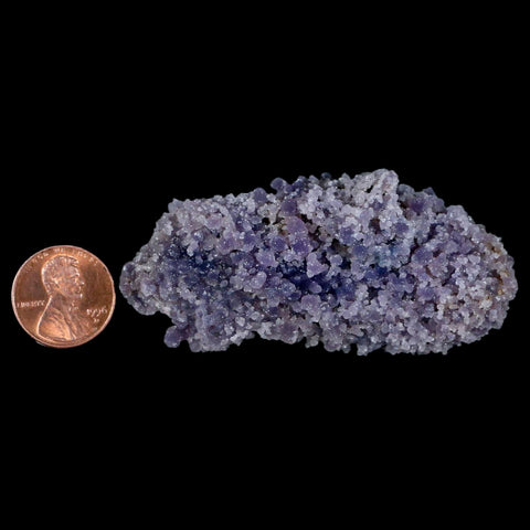 2.8" Purple Grape Agate Botryoidal Crystal Druzy Cluster Mineral Sulawesi Island - Fossil Age Minerals