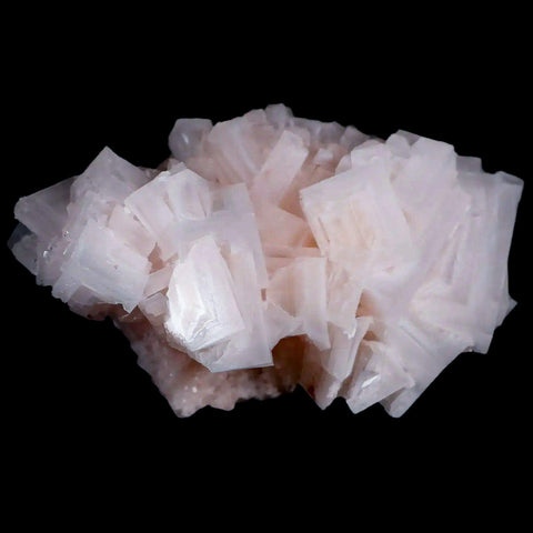 3.7" Quality Pink Halite Salt Crystals Cluster Mineral Trona, CA Searles Lake - Fossil Age Minerals