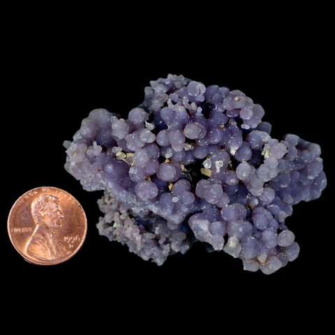 2.4" Purple Grape Agate Botryoidal Crystal Druzy Cluster Mineral Sulawesi Island - Fossil Age Minerals