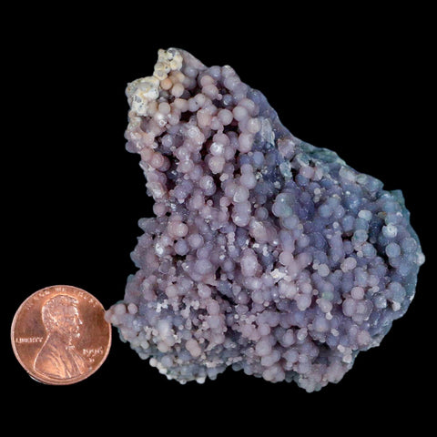 2.7" Purple Grape Agate Botryoidal Crystal Druzy Cluster Mineral Sulawesi Island - Fossil Age Minerals