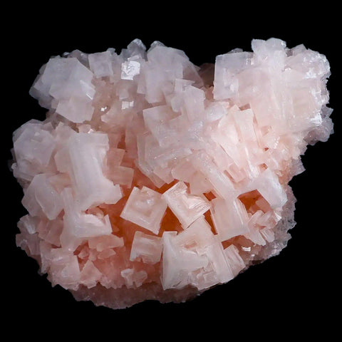 4.7" Quality Pink Halite Salt Crystals Cluster Mineral Trona, CA Searles Lake - Fossil Age Minerals