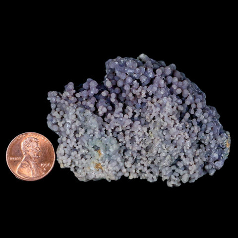 2.8" Purple Grape Agate Botryoidal Crystal Druzy Cluster Mineral Sulawesi Island - Fossil Age Minerals