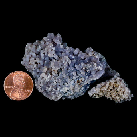 2.9" Purple Grape Agate Botryoidal Crystal Druzy Cluster Mineral Sulawesi Island - Fossil Age Minerals