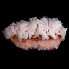 Pink Halite Mineral Collection