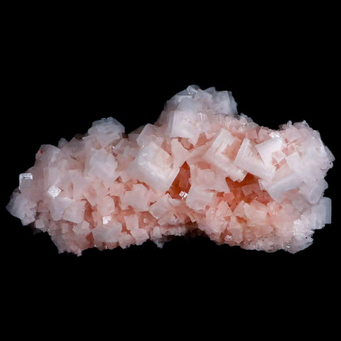 XL 7" Quality Pink Halite Salt Crystals Cluster Mineral Trona, CA Searles Lake - Fossil Age Minerals