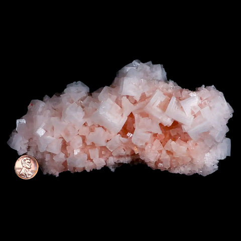 XL 7" Quality Pink Halite Salt Crystals Cluster Mineral Trona, CA Searles Lake - Fossil Age Minerals