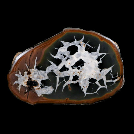 XL 3.9" Septarian Dragon Stone Polished Halves Nodule Mineral Specimen Morocco
