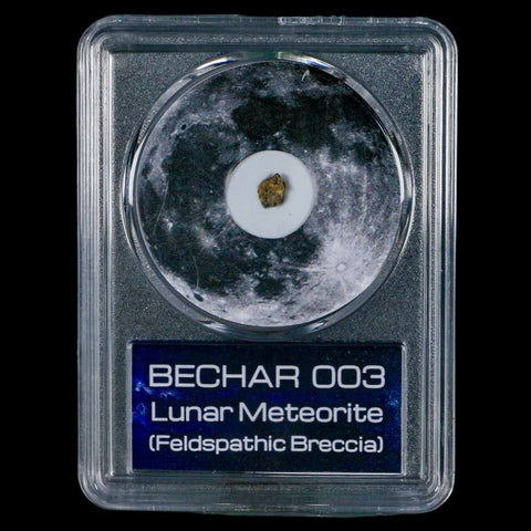 Moon Rock Lunar Meteorite Bechar 003 Algerian Sahara Desert Discovered 2022 COA - Fossil Age Minerals