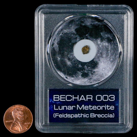 Moon Rock Lunar Meteorite Bechar 003 Algerian Sahara Desert Discovered 2022 COA - Fossil Age Minerals