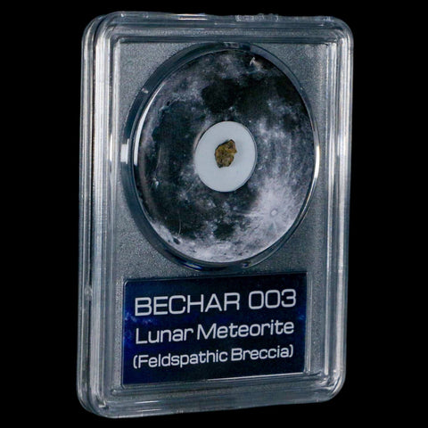 Moon Rock Lunar Meteorite Bechar 003 Algerian Sahara Desert Discovered 2022 COA - Fossil Age Minerals