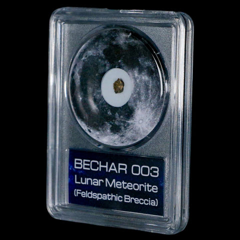 Moon Rock Lunar Meteorite Bechar 003 Algerian Sahara Desert Discovered 2022 COA - Fossil Age Minerals