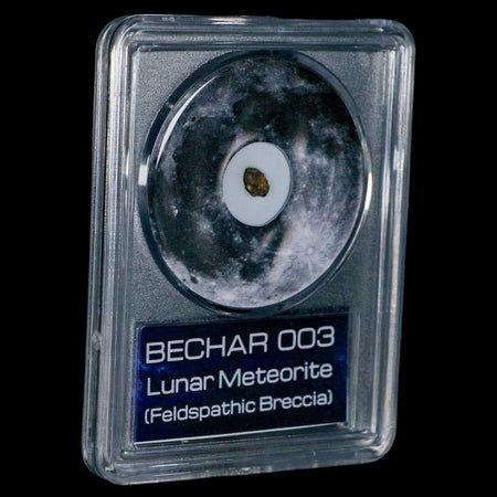 Moon Rock Lunar Meteorite Bechar 003 Algerian Sahara Desert Discovered 2022 COA