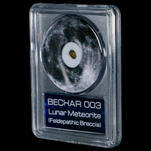 Moon Rock Lunar Meteorite Bechar 003 Algerian Sahara Desert Discovered 2022 COA - Fossil Age Minerals