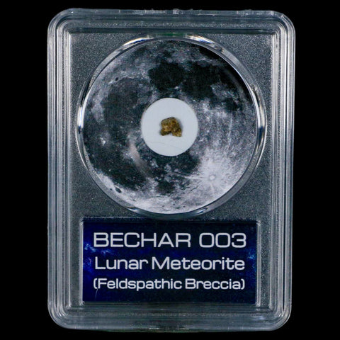 Moon Rock Lunar Meteorite Bechar 003 Algerian Sahara Desert Discovered 2022 COA - Fossil Age Minerals