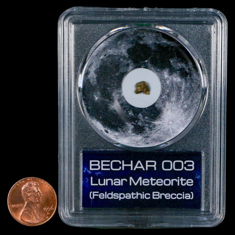 Moon Rock Lunar Meteorite Bechar 003 Algerian Sahara Desert Discovered 2022 COA - Fossil Age Minerals