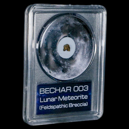 Moon Rock Lunar Meteorite Bechar 003 Algerian Sahara Desert Discovered 2022 COA