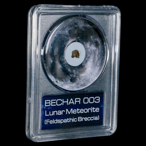 Moon Rock Lunar Meteorite Bechar 003 Algerian Sahara Desert Discovered 2022 COA - Fossil Age Minerals