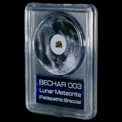 Moon Rock Lunar Meteorite Bechar 003 Algerian Sahara Desert Discovered 2022 COA - Fossil Age Minerals