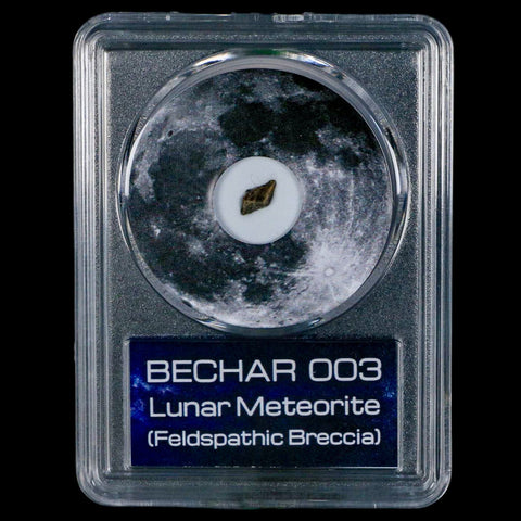 Moon Rock Lunar Meteorite Bechar 003 Algerian Sahara Desert Discovered 2022 COA - Fossil Age Minerals