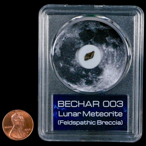 Moon Rock Lunar Meteorite Bechar 003 Algerian Sahara Desert Discovered 2022 COA - Fossil Age Minerals