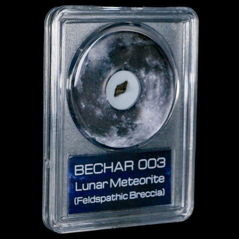 Moon Rock Lunar Meteorite Bechar 003 Algerian Sahara Desert Discovered 2022 COA - Fossil Age Minerals