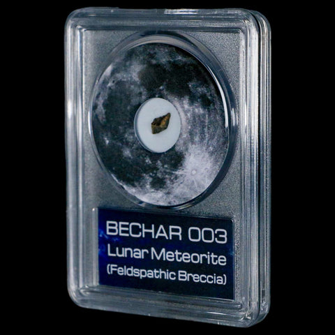 Moon Rock Lunar Meteorite Bechar 003 Algerian Sahara Desert Discovered 2022 COA - Fossil Age Minerals