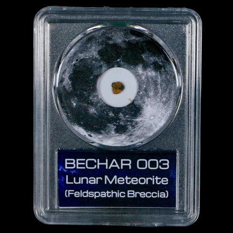 Moon Rock Lunar Meteorite Bechar 003 Algerian Sahara Desert Discovered 2022 COA - Fossil Age Minerals