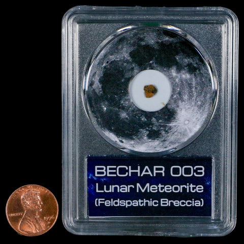 Moon Rock Lunar Meteorite Bechar 003 Algerian Sahara Desert Discovered 2022 COA - Fossil Age Minerals