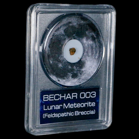 Moon Rock Lunar Meteorite Bechar 003 Algerian Sahara Desert Discovered 2022 COA - Fossil Age Minerals