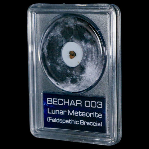 Moon Rock Lunar Meteorite Bechar 003 Algerian Sahara Desert Discovered 2022 COA - Fossil Age Minerals