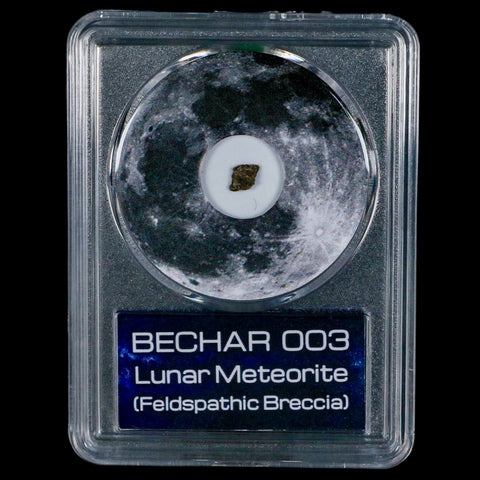 Moon Rock Lunar Meteorite Bechar 003 Algerian Sahara Desert Discovered 2022 COA - Fossil Age Minerals