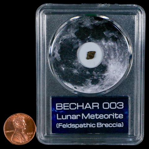 Moon Rock Lunar Meteorite Bechar 003 Algerian Sahara Desert Discovered 2022 COA - Fossil Age Minerals