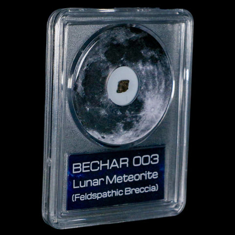 Moon Rock Lunar Meteorite Bechar 003 Algerian Sahara Desert Discovered 2022 COA - Fossil Age Minerals