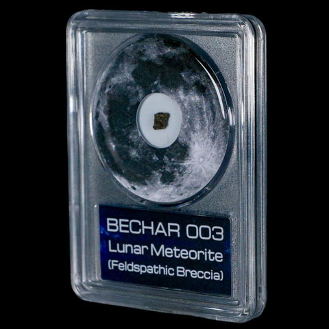 Moon Rock Lunar Meteorite Bechar 003 Algerian Sahara Desert Discovered 2022 COA - Fossil Age Minerals